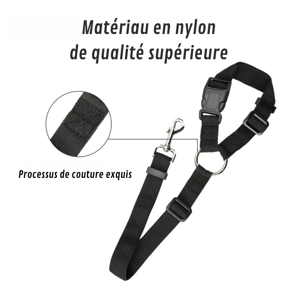 Attache Chien Voiture | Sécurité Canine®