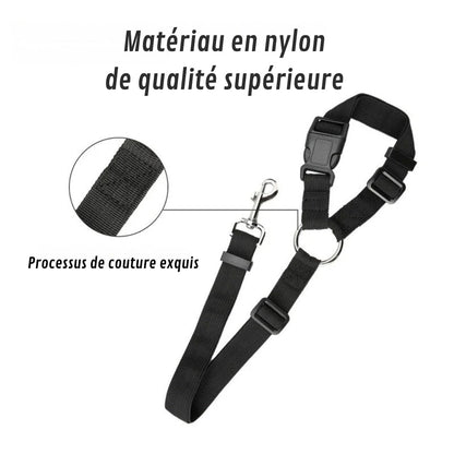 Attache Chien Voiture | Sécurité Canine®