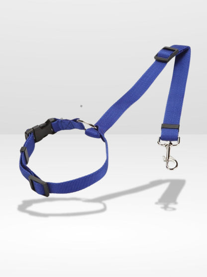 Attache Chien Voiture | Sécurité Canine®