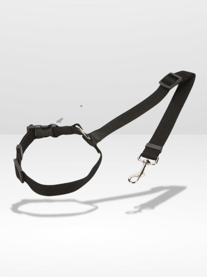Attache Chien Voiture | Sécurité Canine®
