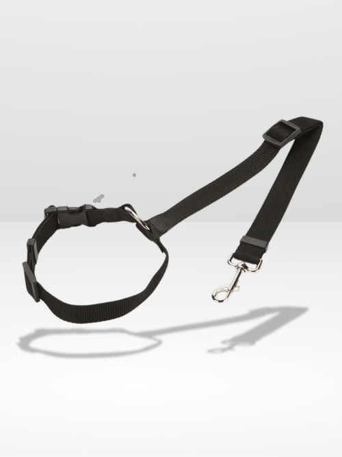 Attache Chien Voiture | Sécurité Canine®