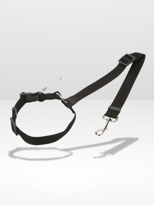 Attache Chien Voiture | Sécurité Canine®