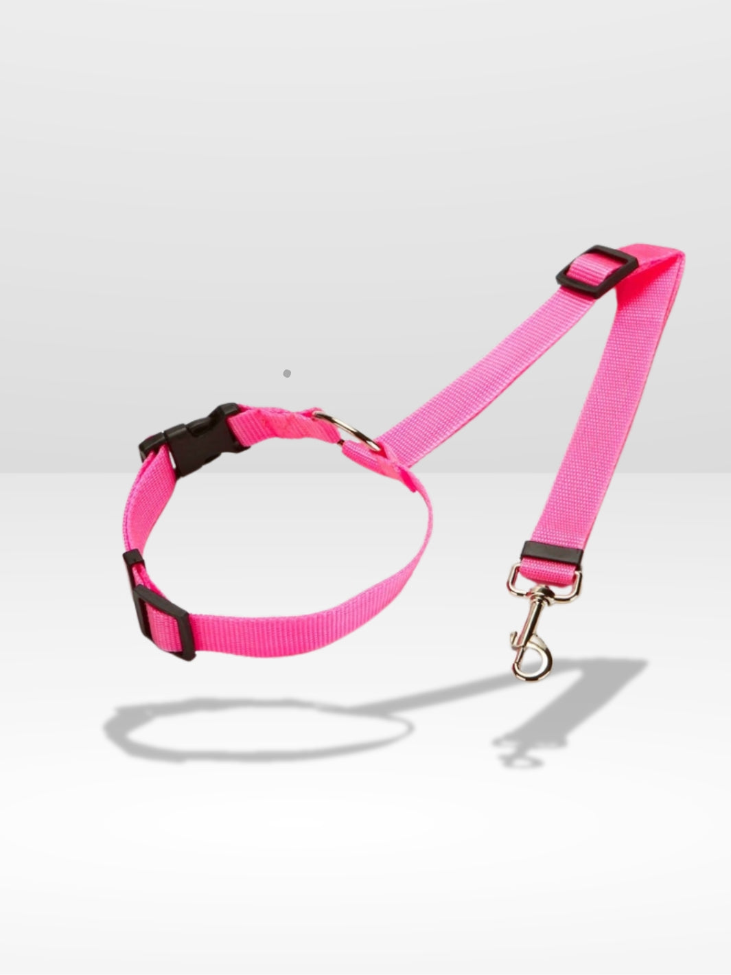 Attache Chien Voiture | Sécurité Canine®