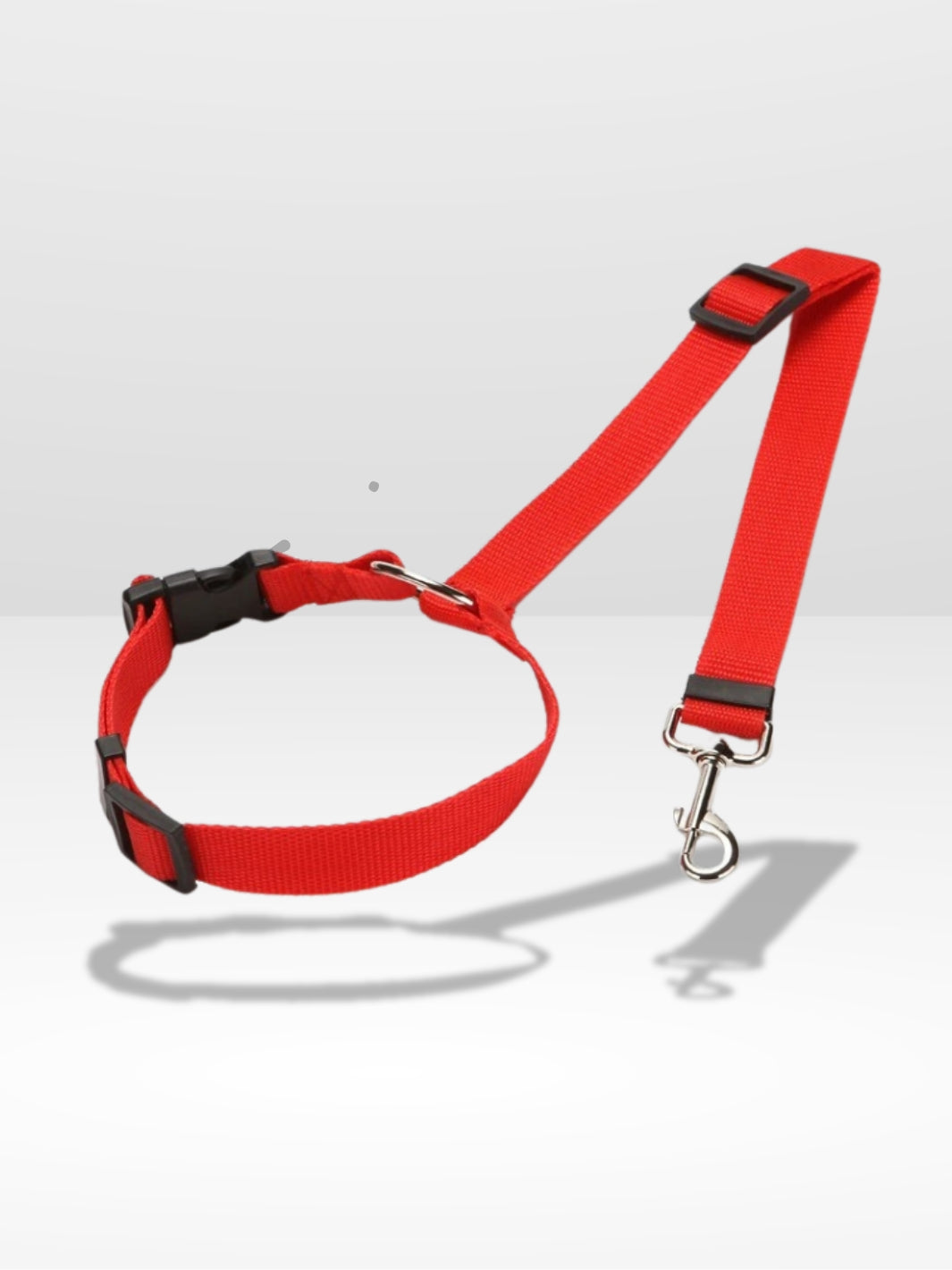 Attache Chien Voiture | Sécurité Canine®