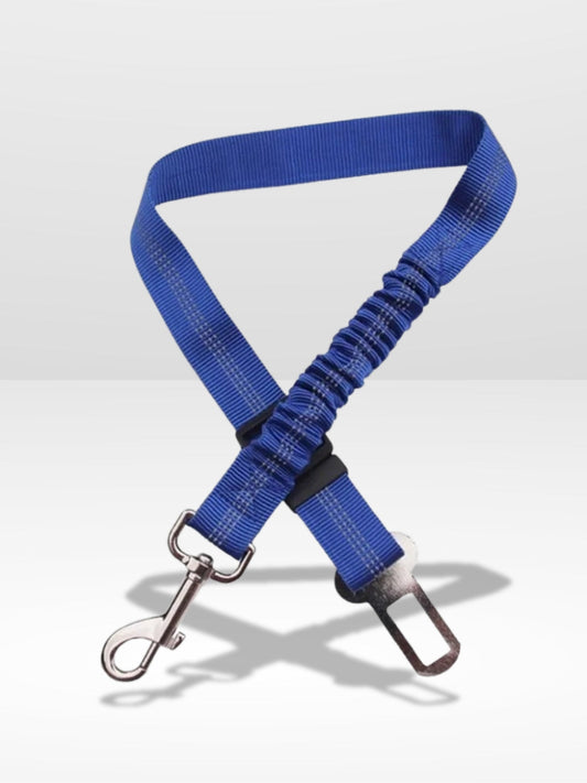 Ceinture Chien Voiture | Harnais Parfait ®