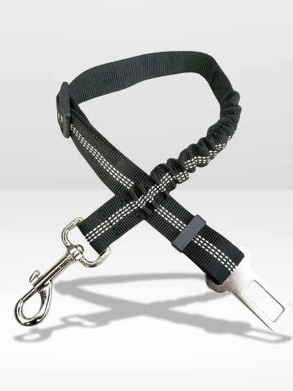 Ceinture Chien Voiture | Harnais Parfait ®