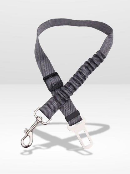Ceinture Chien Voiture | Harnais Parfait ®