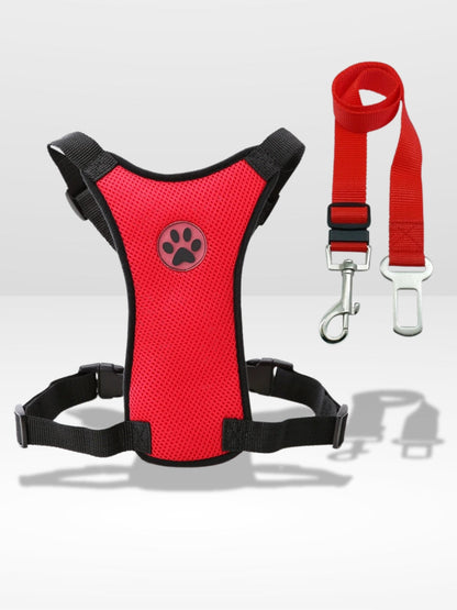 Harnais Chien Voiture | Sécurité Canine ®