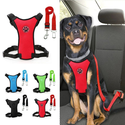 Harnais Chien Voiture | Sécurité Canine ®