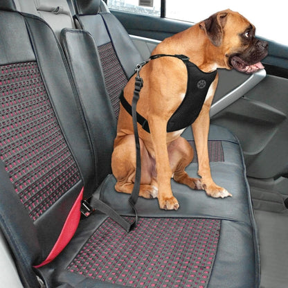 Harnais Chien Voiture | Sécurité Canine ®