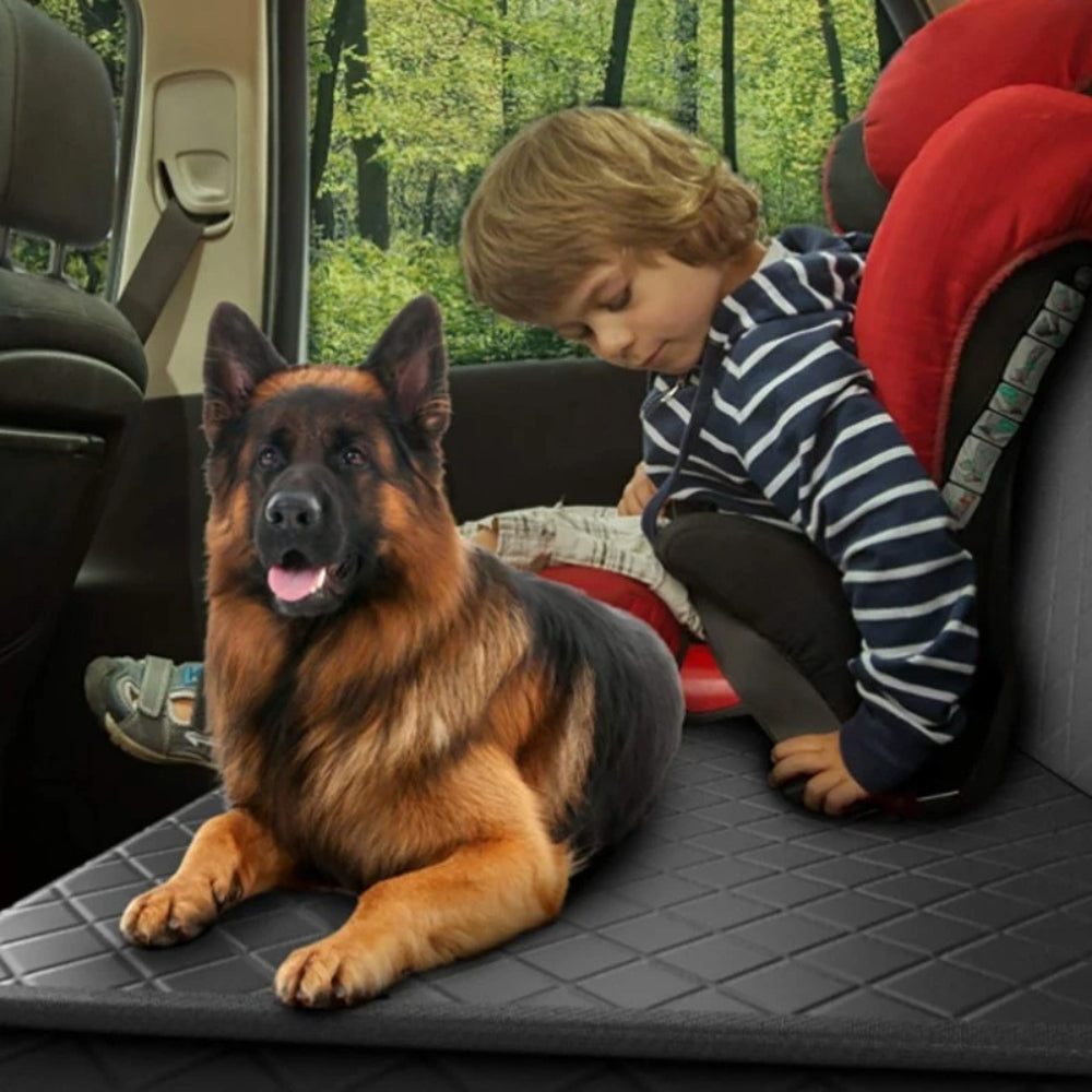 Housse de Voiture pour Chien | Protection Intégral®