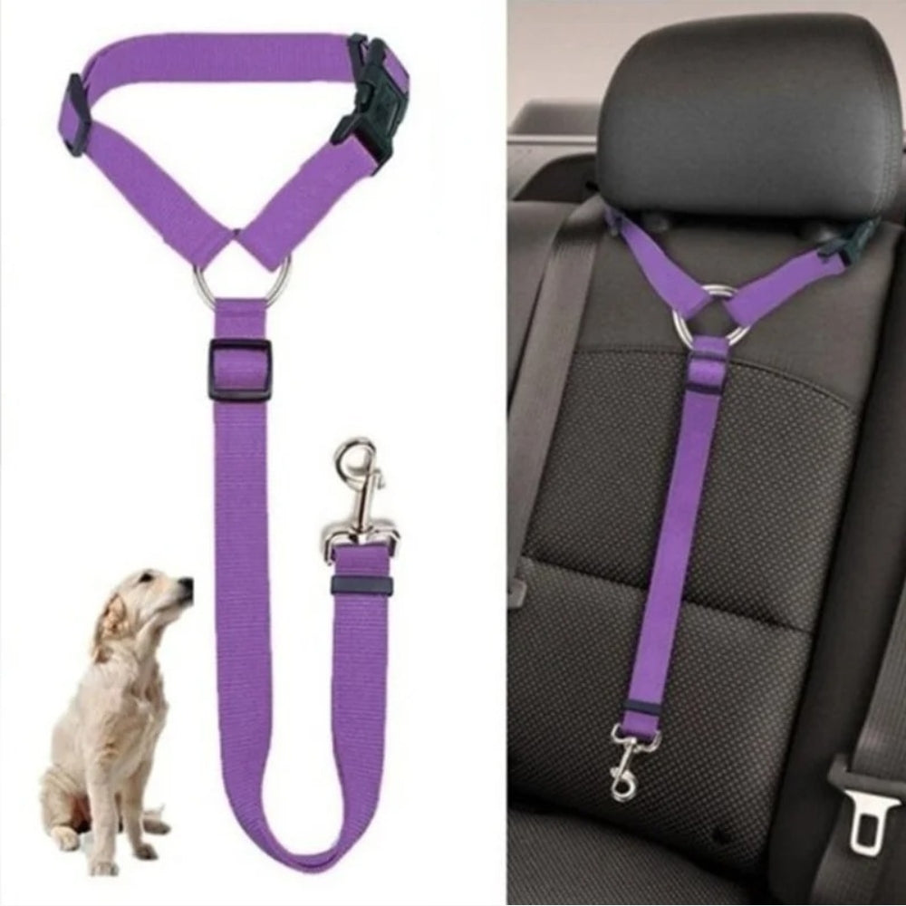 Attache Chien Voiture | Sécurité Canine®