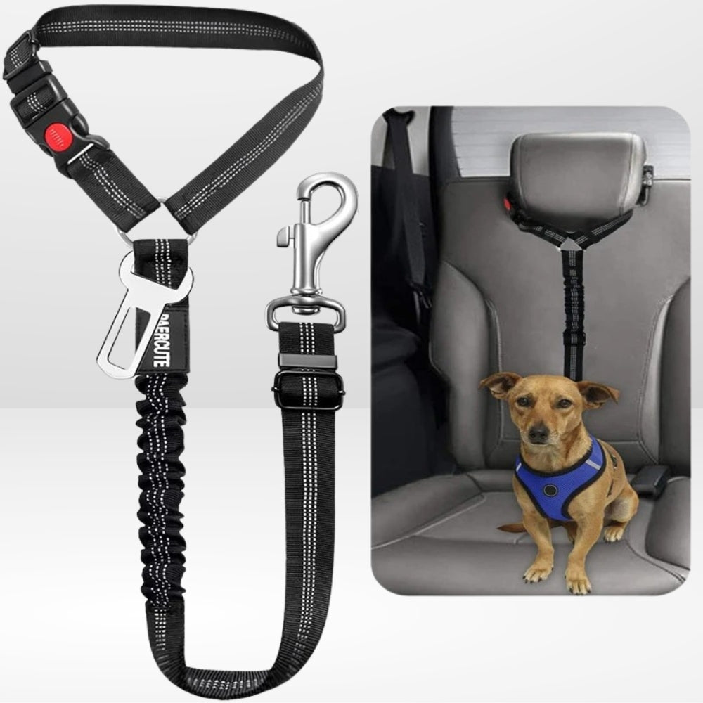Laisse pour Chien en Voiture | Compagnon Protégé ®