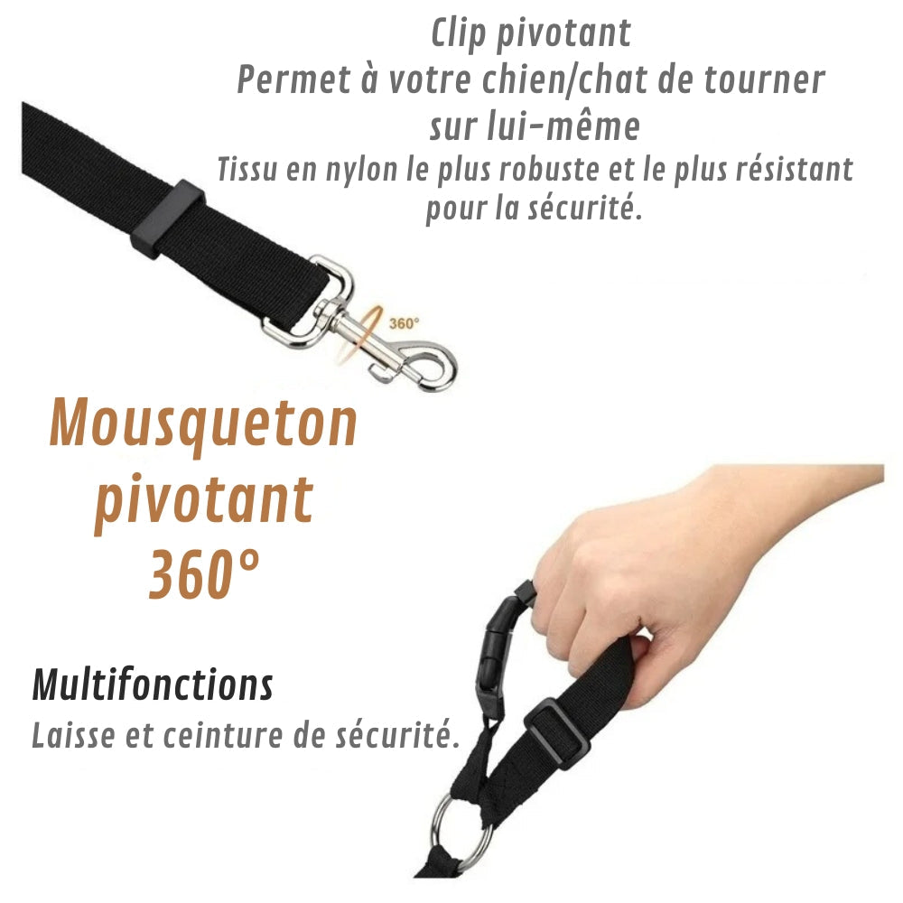 Attache Chien Voiture | Sécurité Canine®